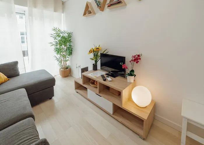 Santa Catarina By Hosty