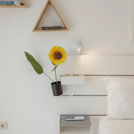 Apartment Santa Catarina By Hosty